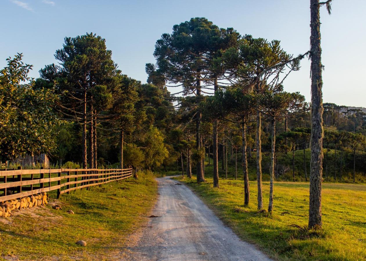 Hospedagem Rural Recanto Do Riacho Urubici Exterior photo